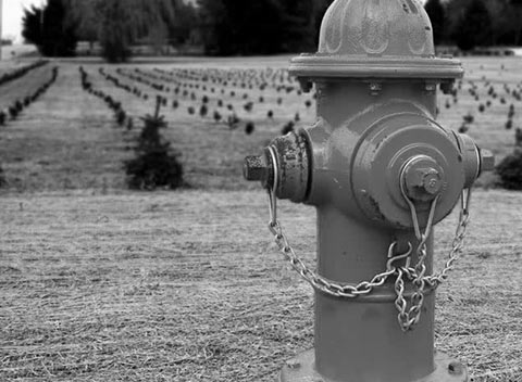 手机号轰炸机网页版